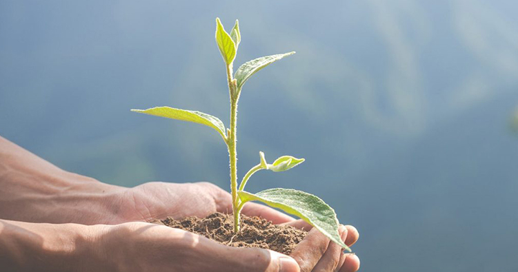 Responsabilità ambientale